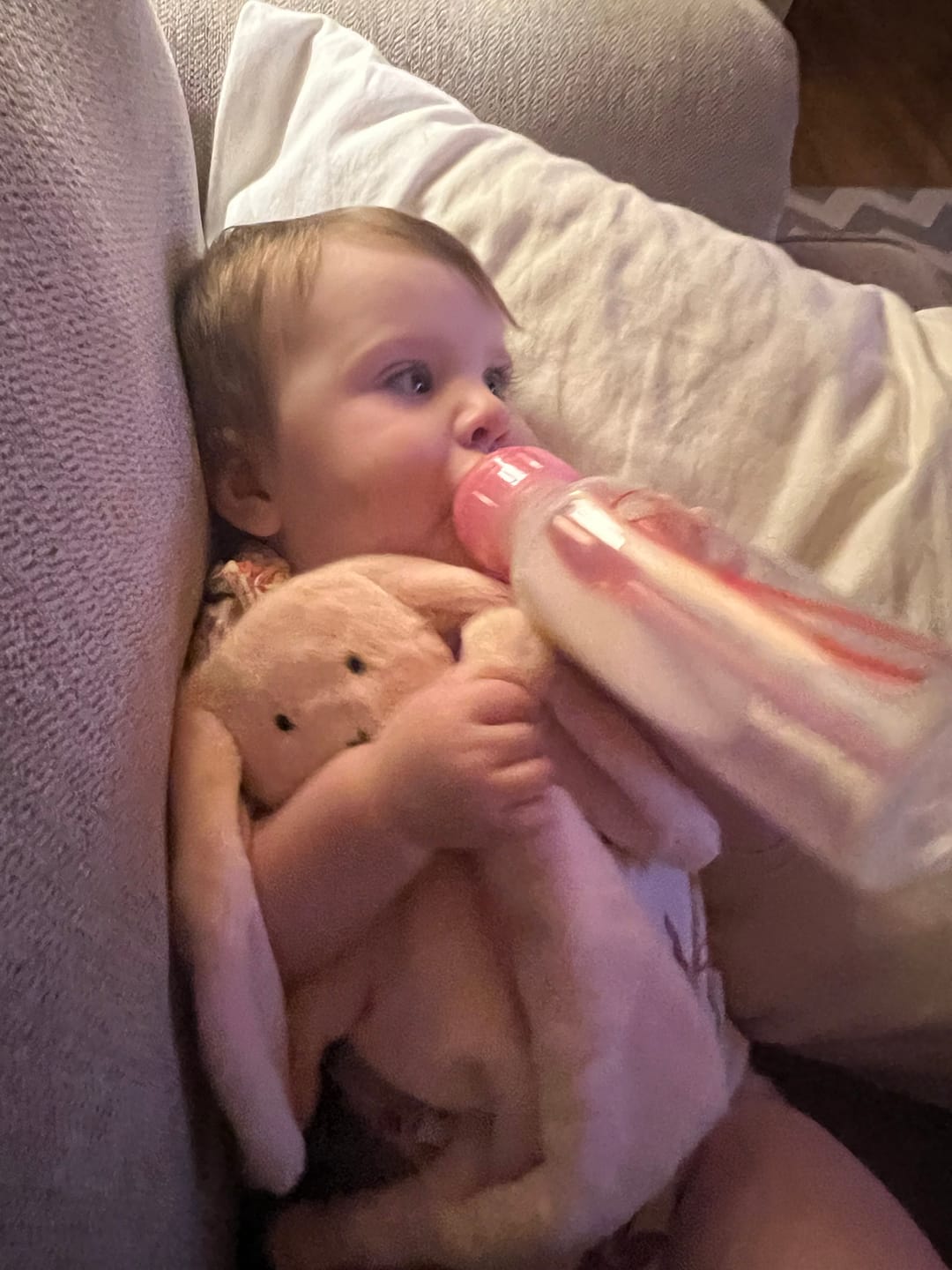Customer photo review of Bella Tunno x Taking Cara Babies Lovey Bunny