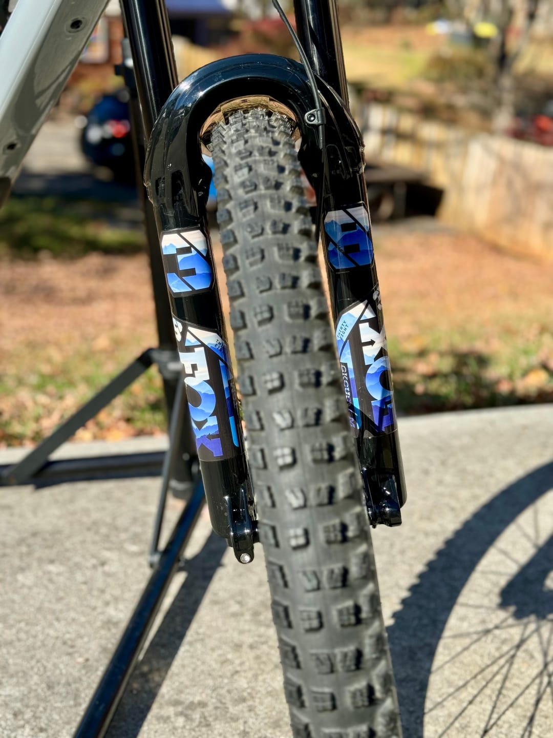 Customer photo review of Custom Fox 38 Decal
