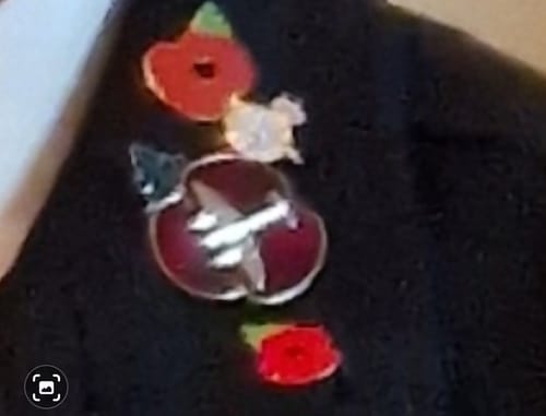 Peter review of Poppy Pin Badge Mosquito image 1 out of 1