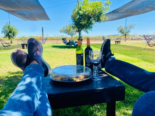 Customer photo review of (Scary Cheese) Hallowine 2023