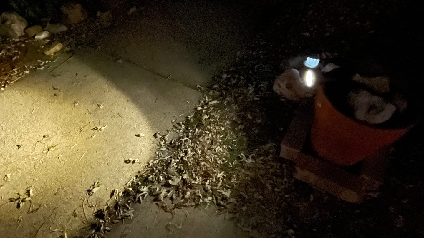 Customer photo review of White 4 LEDs Solar Spotlights