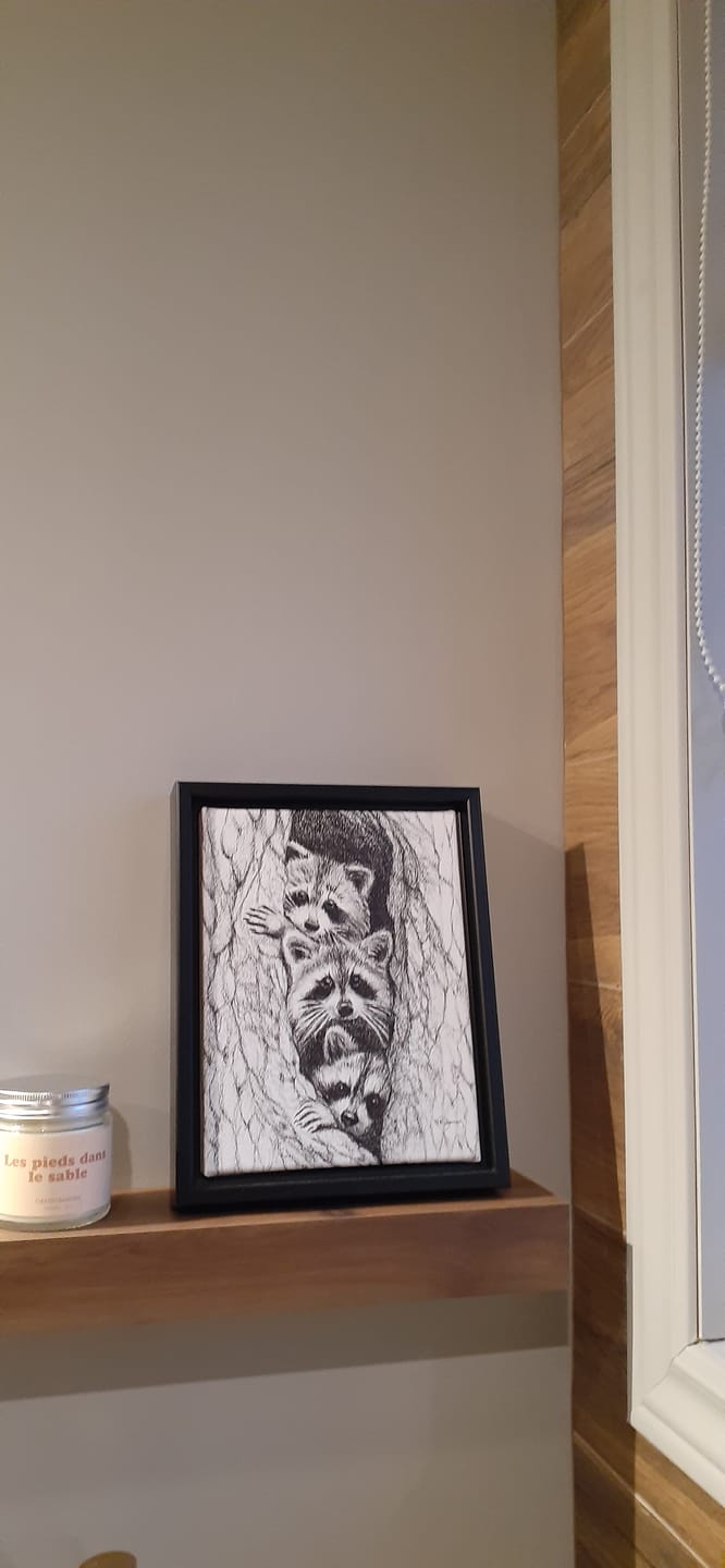 Customer photo review of 3 Raccoon in a tree