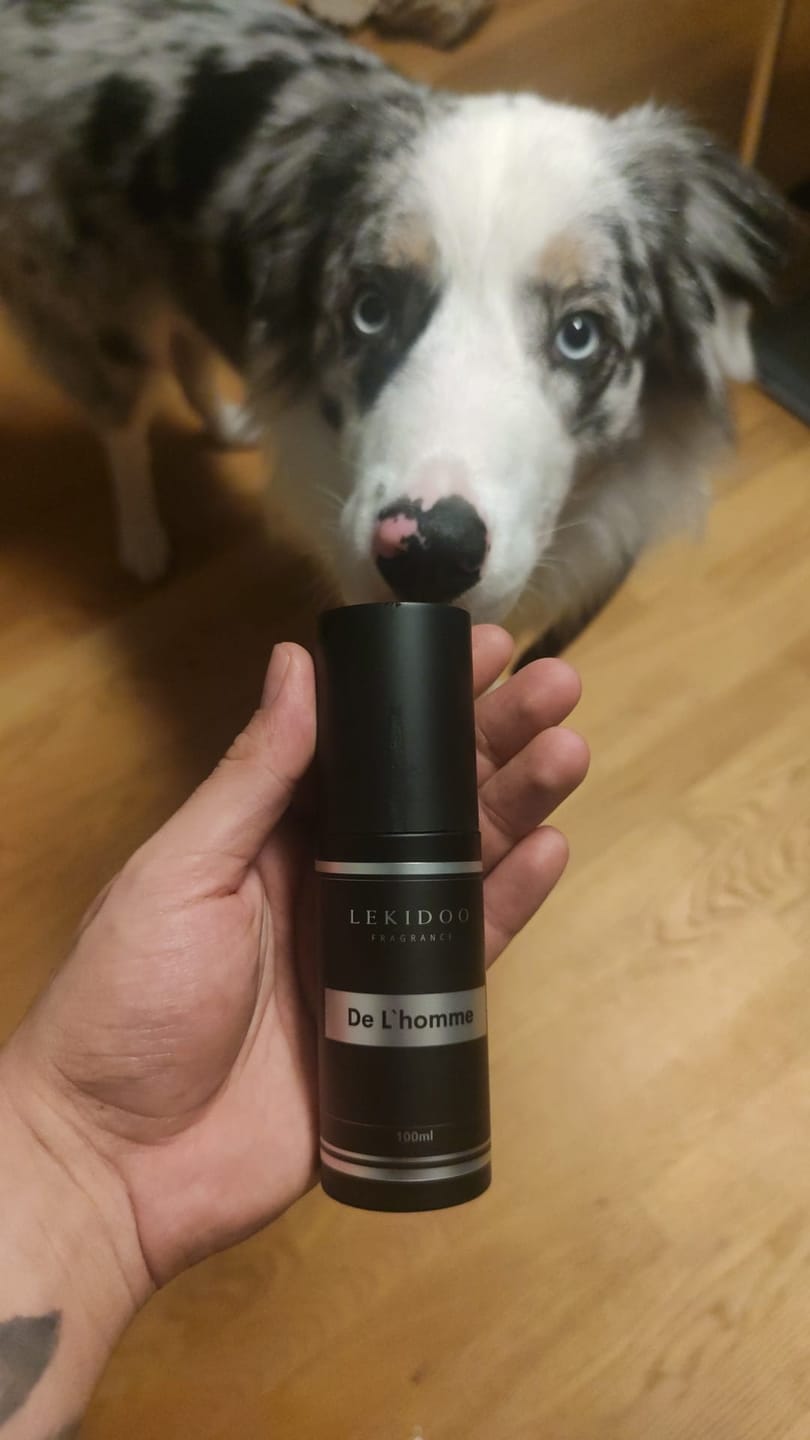 Customer photo review of De L´homme Autoparfüm