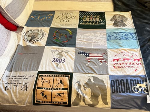 T-shirt quilt with pets, dog training themes by Mara from CA