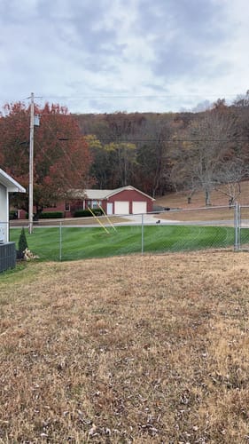 Customer photo review of GCI Turf Type Tall fescue Grass Seed