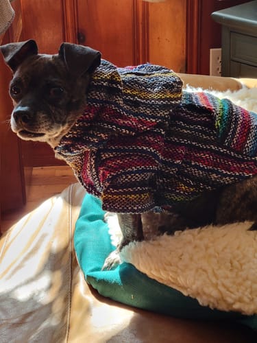 Customer photo review of Playa Poncho - Surprise Color