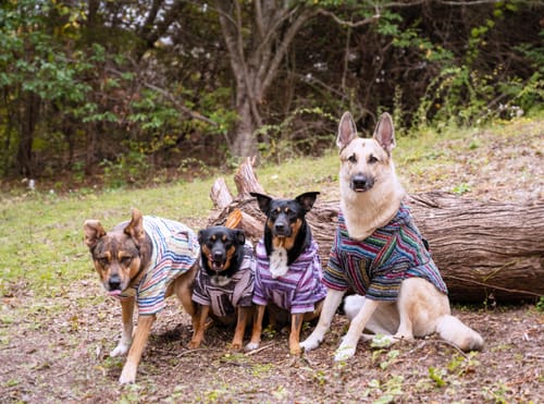 Customer photo review of Playa Poncho - Surprise Color