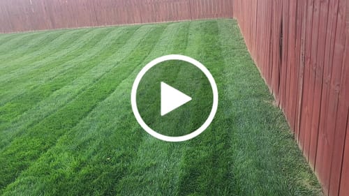 Customer video review of 18-0-1 GreenePunch