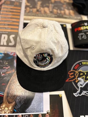 Customer photo review of Panthers Retro Lid