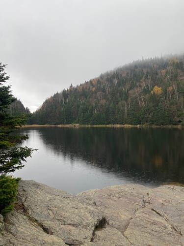 Customer photo review of L.L. Bean Sweater Mens XL Blue Quarter Zip Fleece Outdoors
