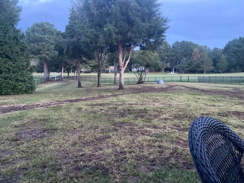 Customer photo review of GCI Turf Spreader Elite Grass Seed