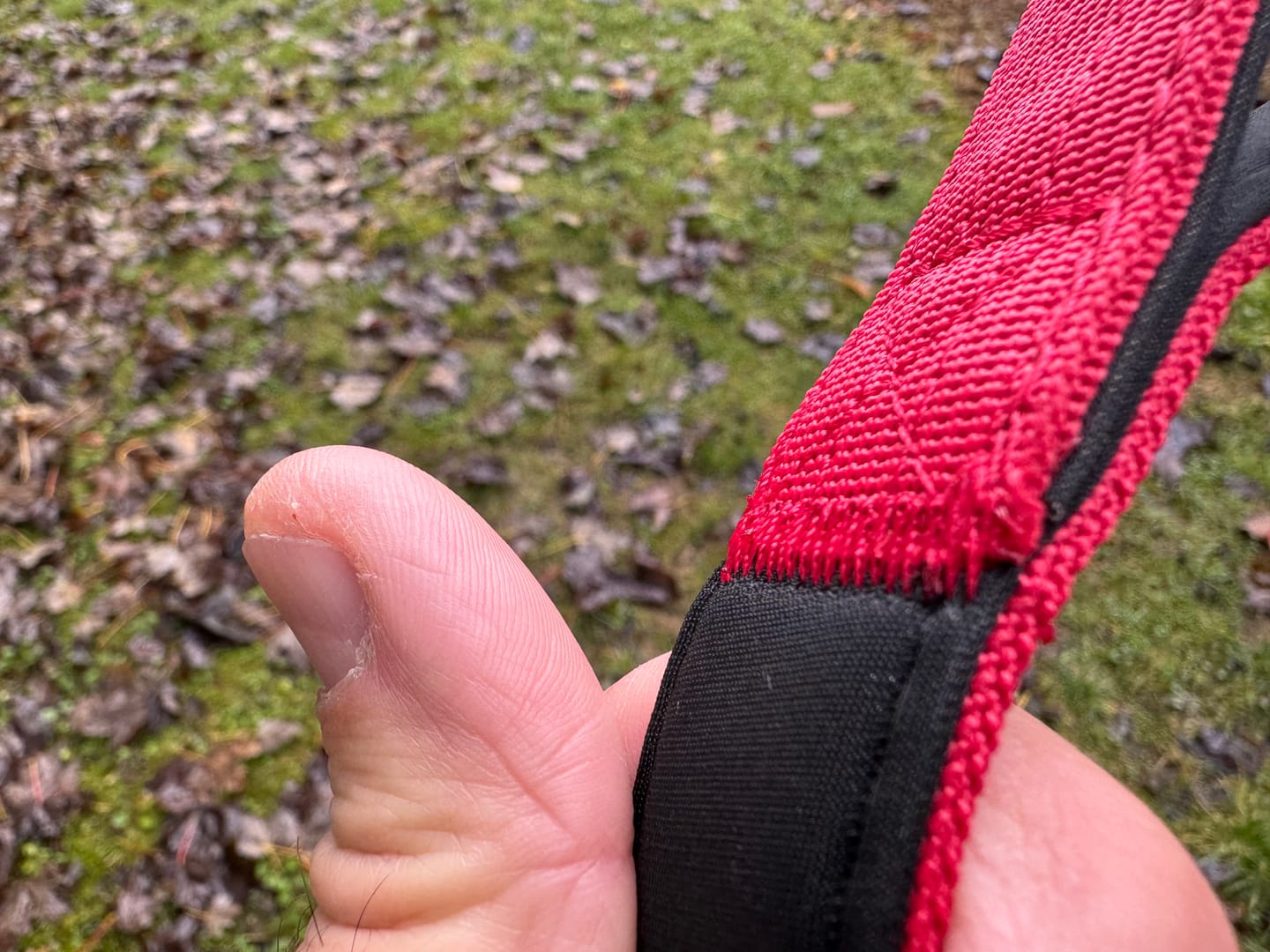 Customer photo review of 1.4m Swivel Combat Lead | Neoprene Lined, Secure Rated Clip with Soft Handle - Red
