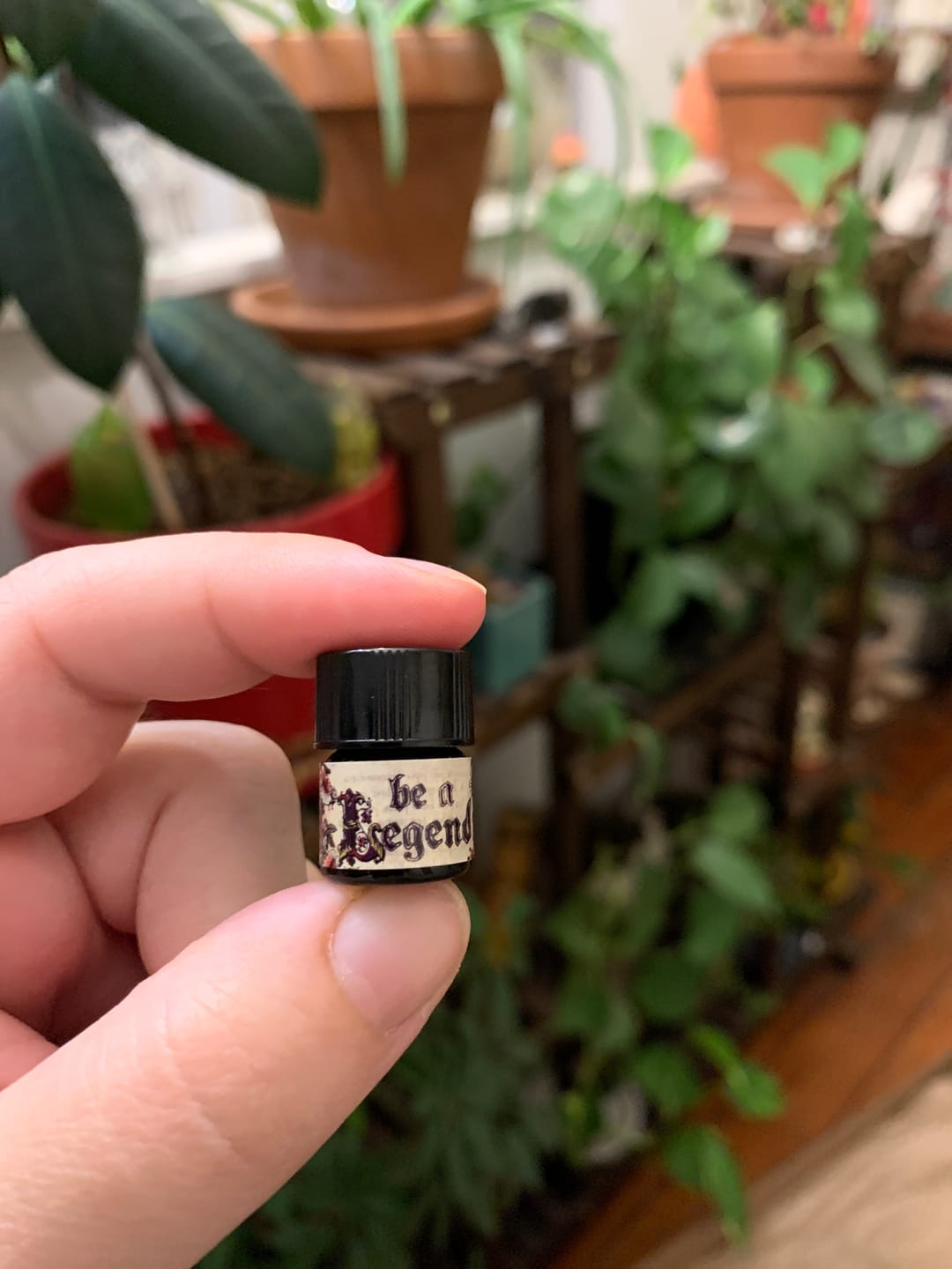 Customer photo review of Don't be a Lady, be a Legend