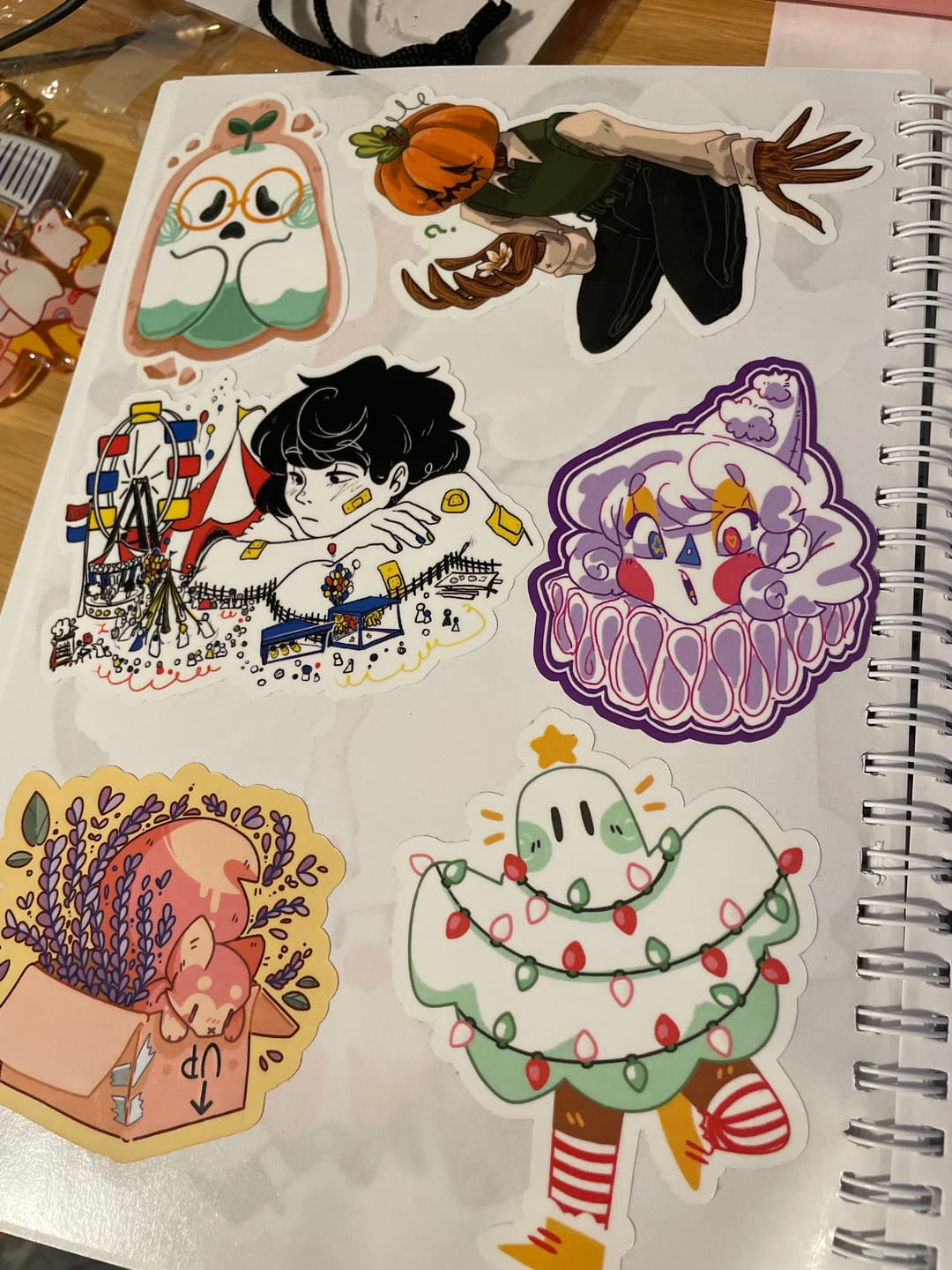 Customer photo review of Sticker Mystery Pack!  Pack of 5 or 10