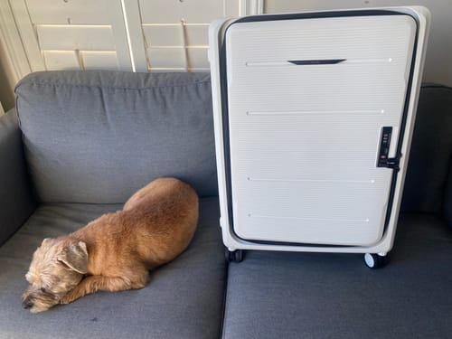 undefined review of Carry-On: Collapsible image 1 out of 1