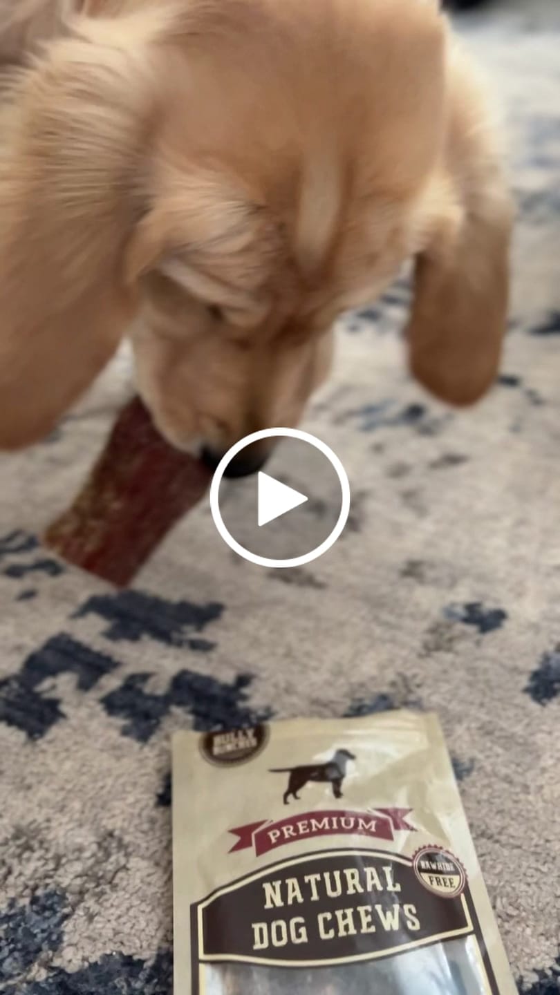 Customer video review of 6 Inch Beef Jerky Strip