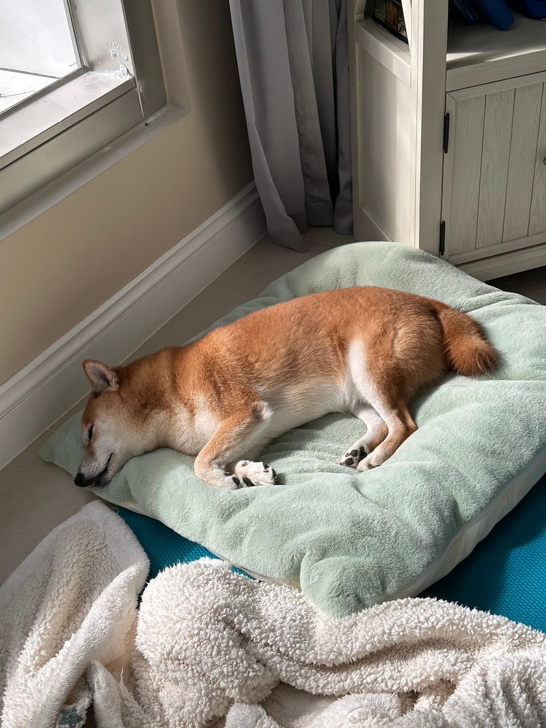 Customer photo review of Sleeping Blanket (𝗡𝗘𝗪 𝗖𝗢𝗟𝗢𝗨𝗥)