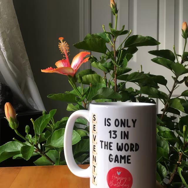 Customer photo review of Custom 70th Birthday Mug: Seventy Is Only 13 In The Word Game