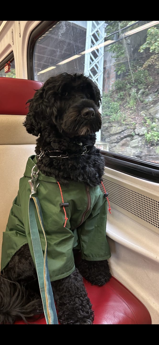 Customer photo review of Nylon Rainbreaker