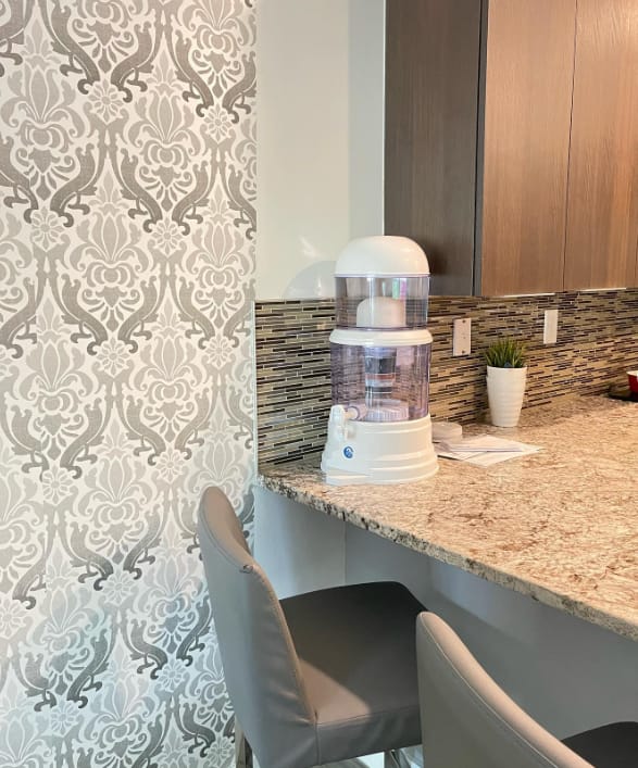 Customer photo review of HolyH2O™ Trinity Water Filter
