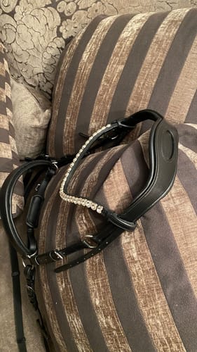 Customer photo review of Harmony Bridle - anatomische gebisslose Trense mit Crystal Stirnband