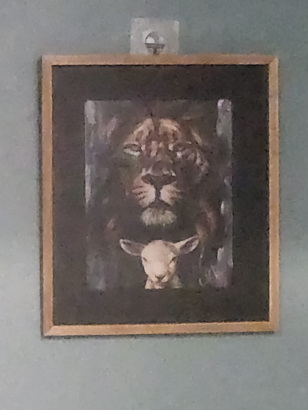 Customer photo review of The Lion and Lamb Passover
