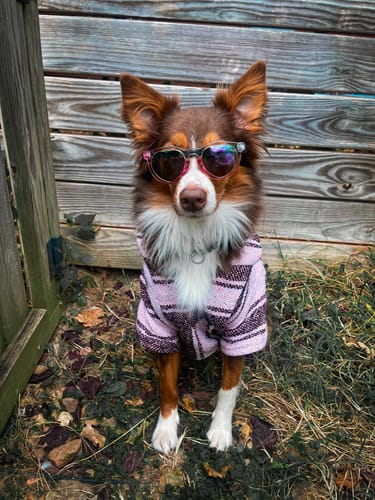 Customer photo review of Playa Poncho - Surprise Color