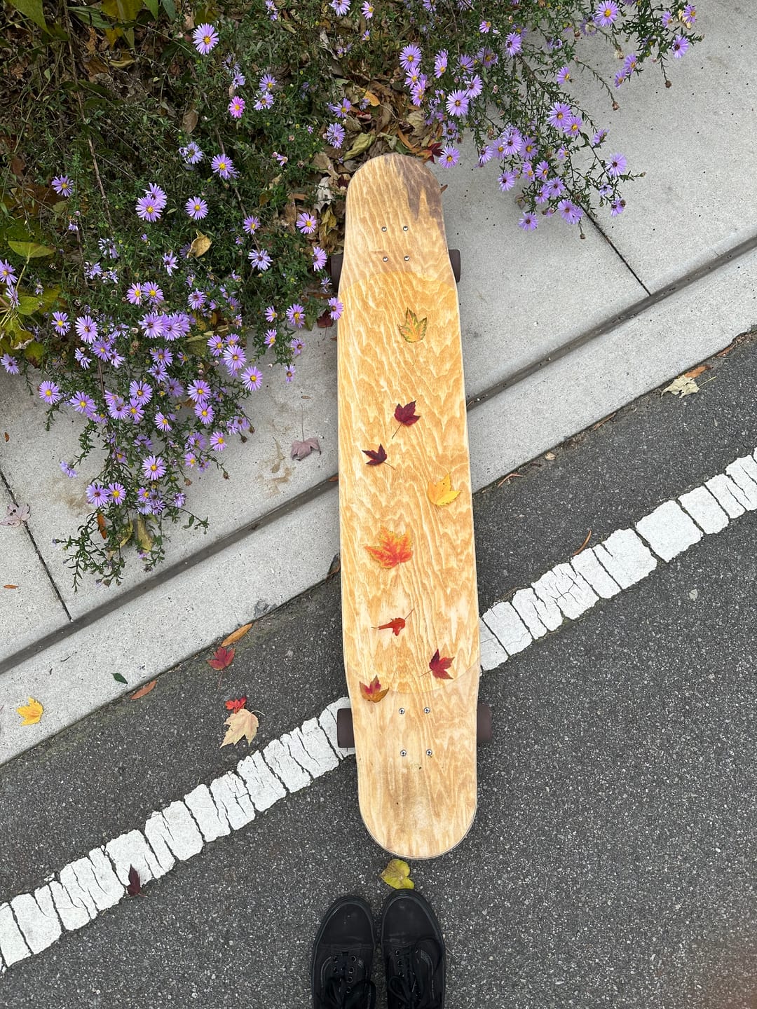 Customer photo review of Bastl Boards - Walzer