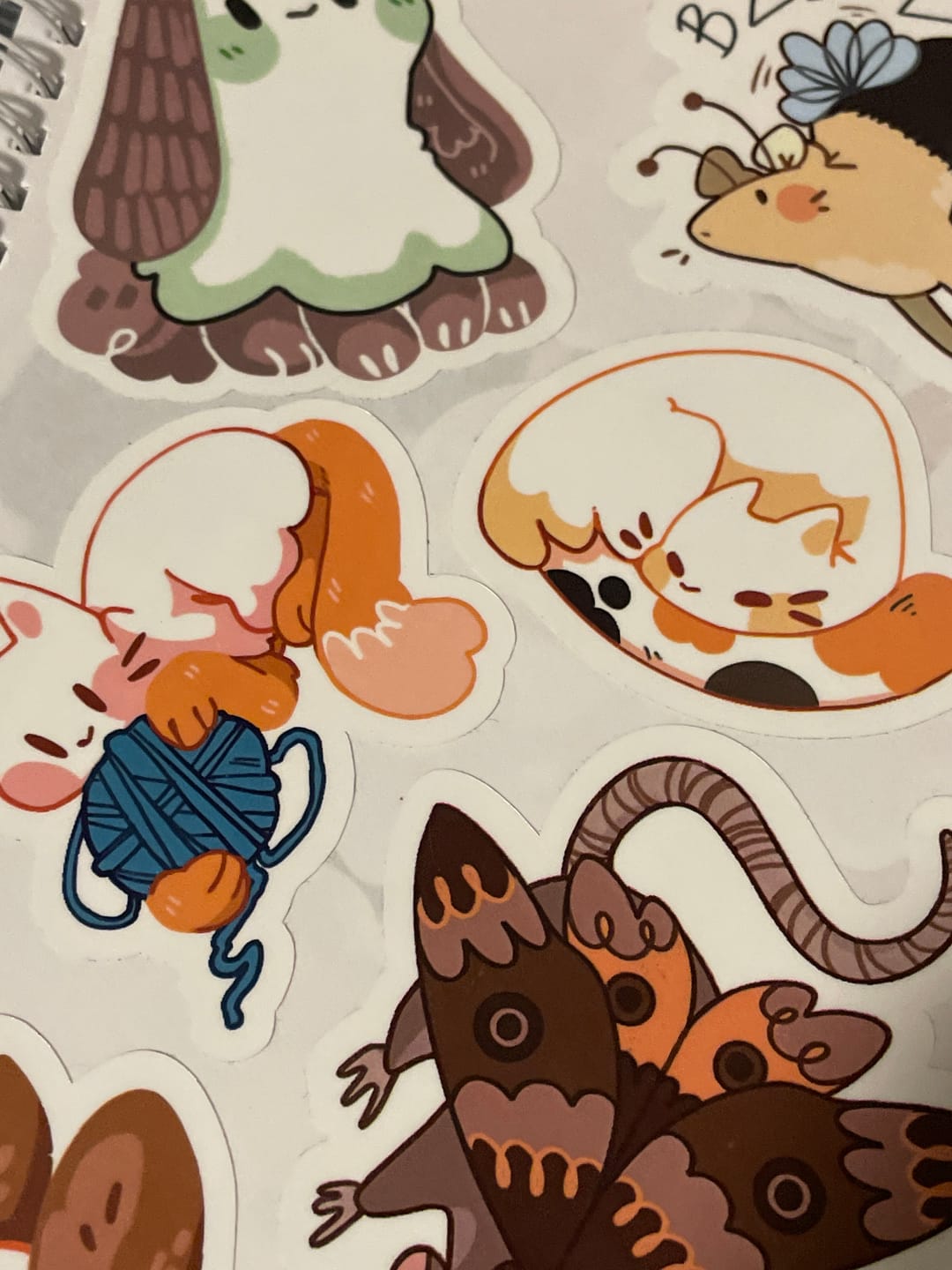 Customer photo review of Cute Ghost Cat Stickers!