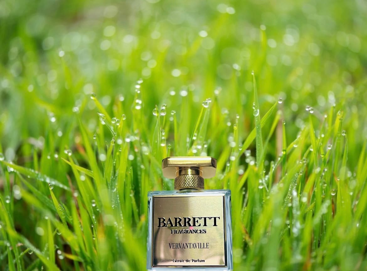 Customer photo review of Vervantaville inspired by Greenley