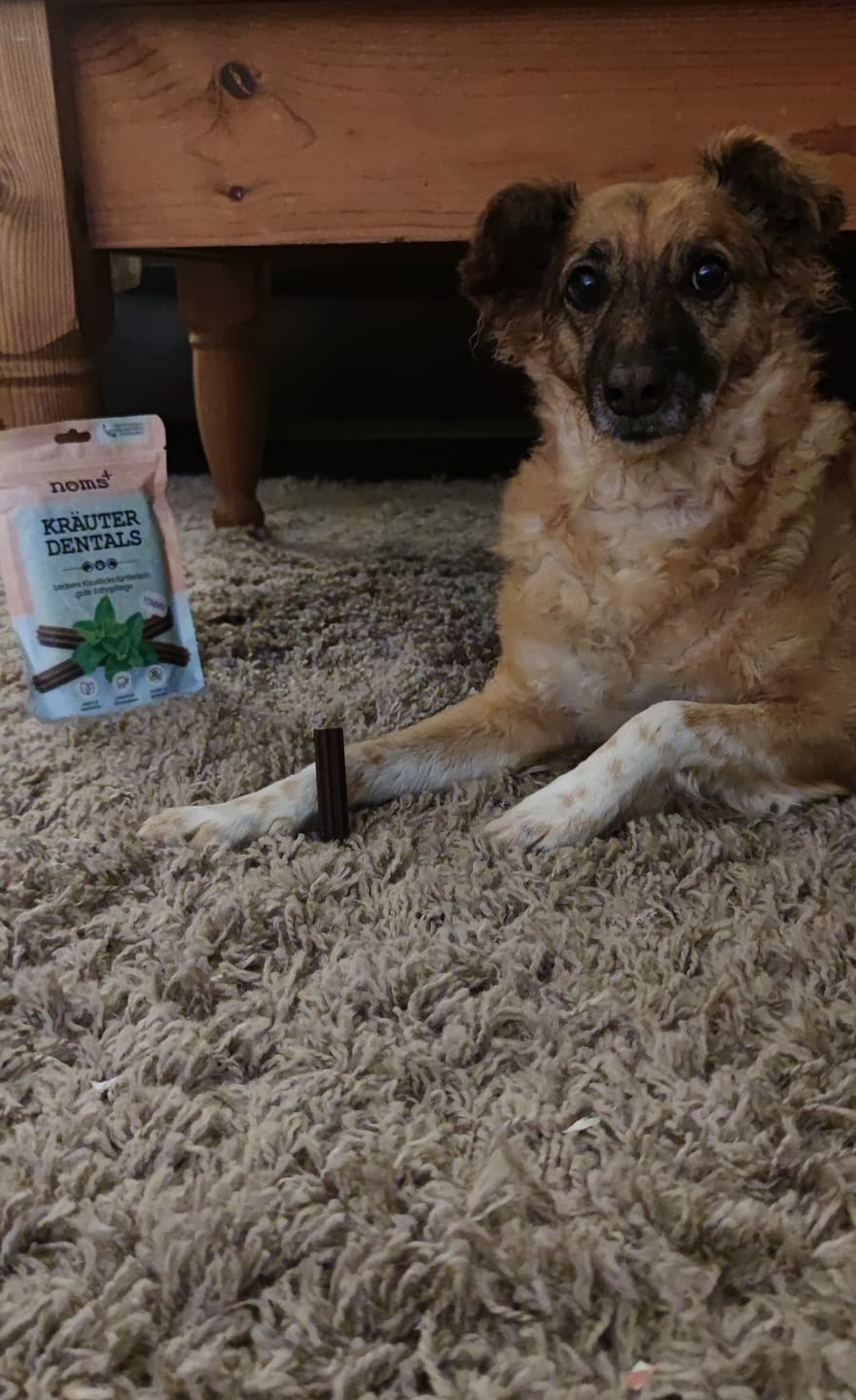 Customer photo review of Kräuter Dentals für Hunde zur Zahn- und Darmpflege (120g)