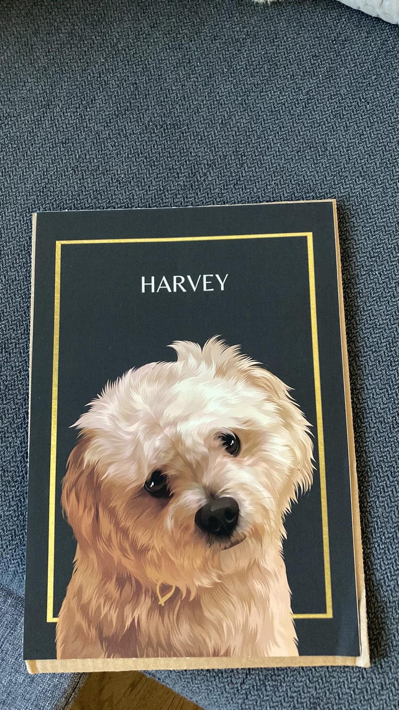 Customer photo review of One-Pet Portrait