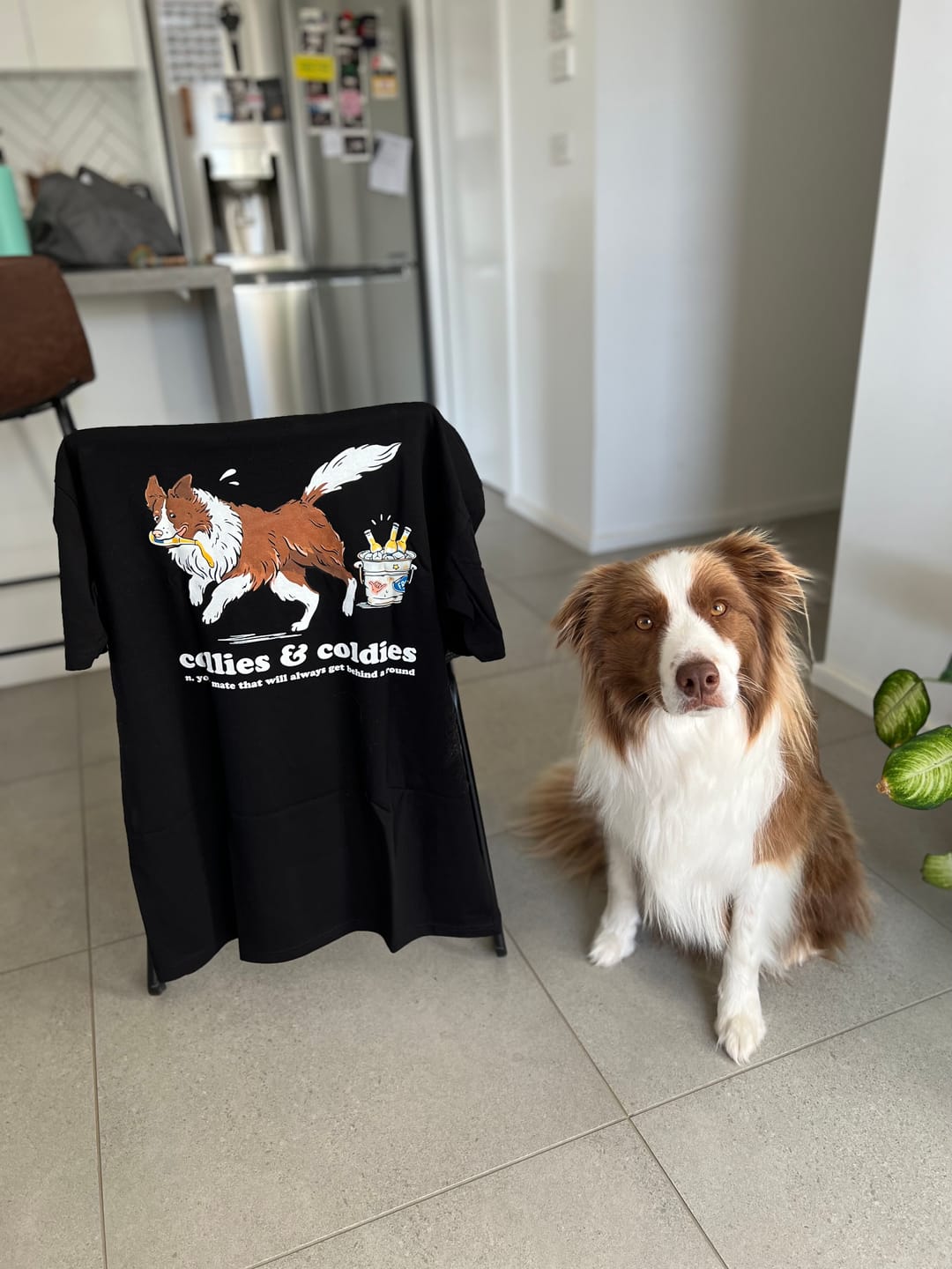 Customer photo review of Collies & Coldies Tee