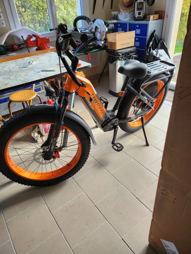 Customer photo review of Lankeleisi MG600 Plus 1000W Bafang Motor 26" Fat Bike All Terrain Electric Bike 48V 20Ah Samsung Battery