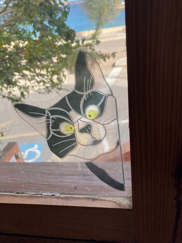 Customer photo review of Arredamento divertente gatto & cane