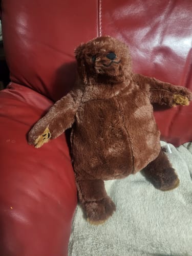 Customer photo review of SKOGGY BEAR