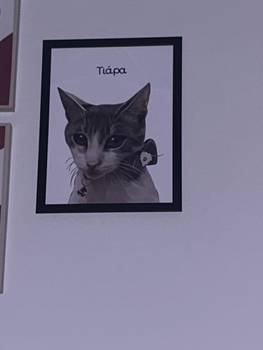 Customer photo review of Πορτραίτο Κατοικίδιου - Πόστερ με κάδρο