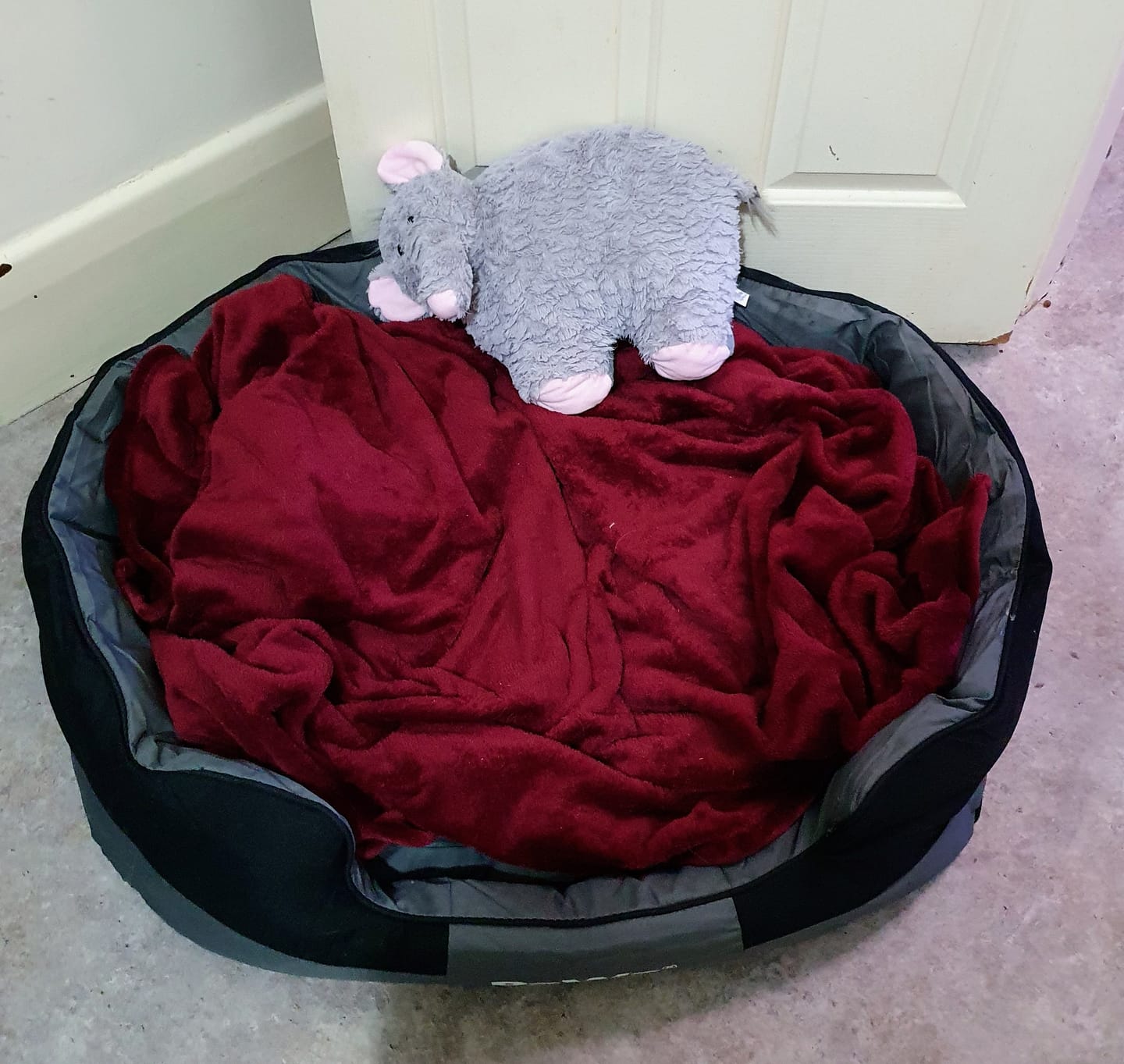 Customer photo review of PaWz waterproof heavy-duty bed
