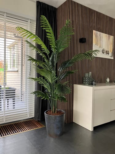 Customer photo review of Kunstpalm 180cm