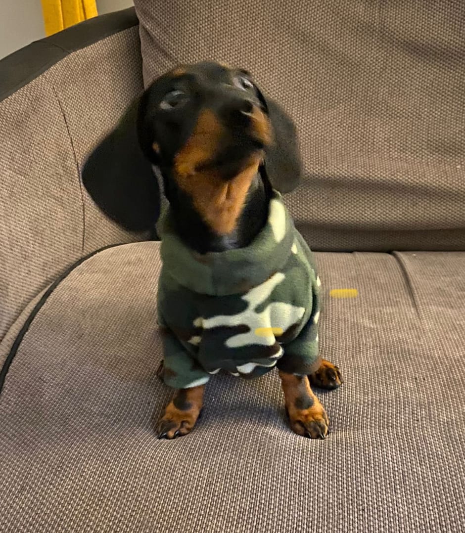 Customer photo review of Camo Anti Pill Polar Fleece Fabric