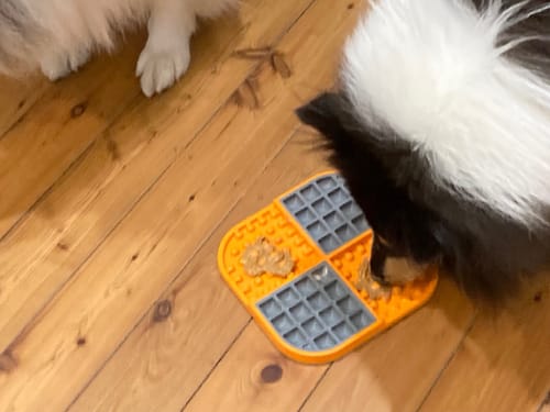 Customer photo review of LickiMat® Slomo™