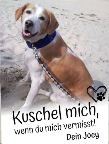 Customer photo review of Kuschel mich, wenn du mich vermisst - Individuelle Decke