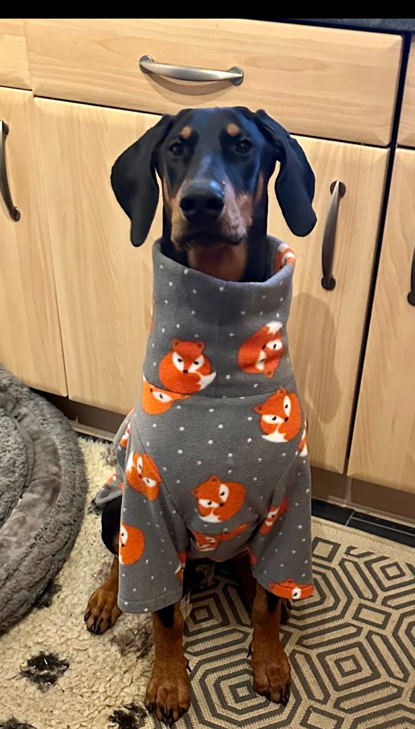 Customer photo review of Sleeping Foxes Anti Pill Polar Fleece Fabric