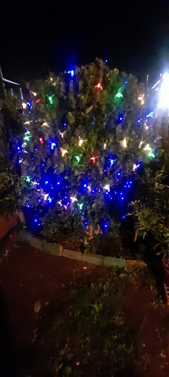 Customer photo review of Colibrís Solares - IP65 Luz Cálida/Colores Largo 5 m