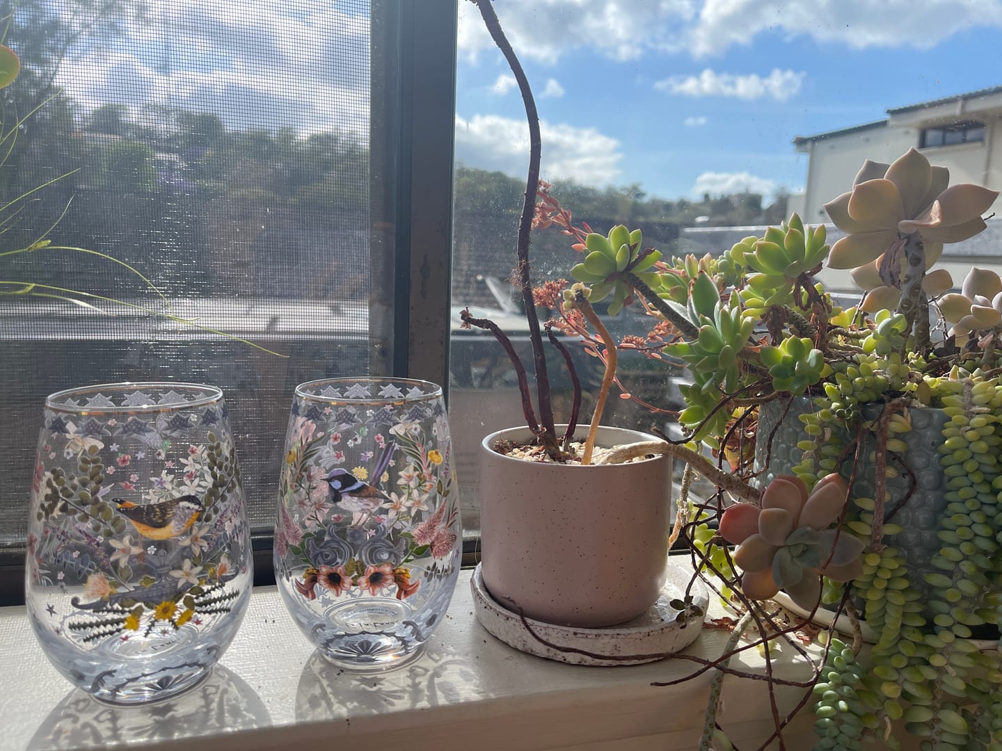 Customer photo review of Glass Tumbler Enchanted Garden