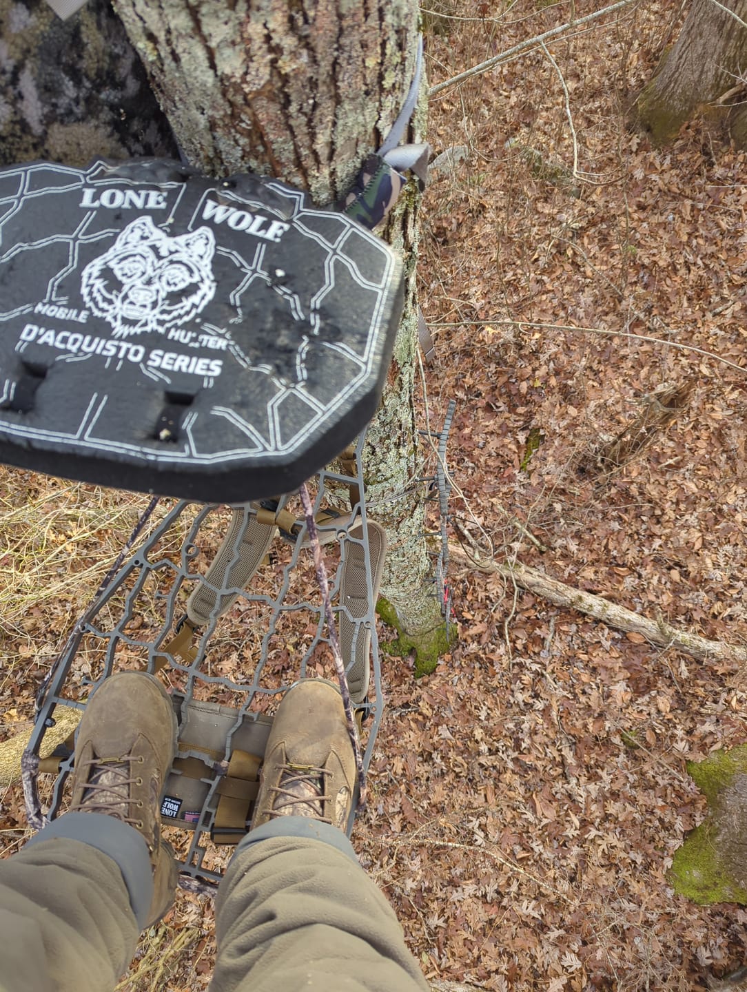 Customer photo review of D'Acquisto Series Hang-On .75