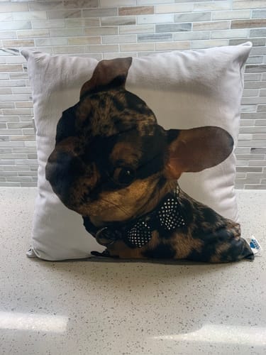 Customer photo review of Create A Custom Shaped Pillow