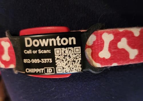 Customer photo review of Premium Silent QR Tag