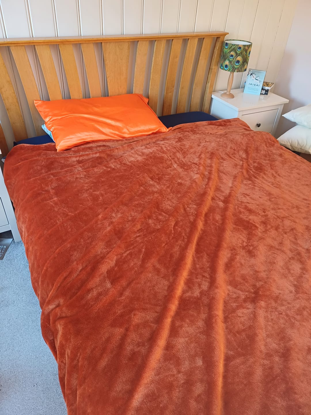 Customer photo review of Waterproof Splash Blanket™️ - Burnt Orange Double Veluxe