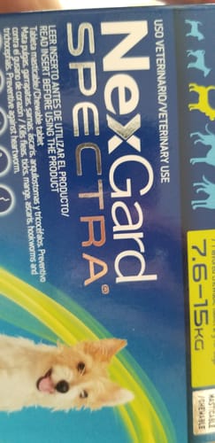 Customer photo review of NexGard Spectra®